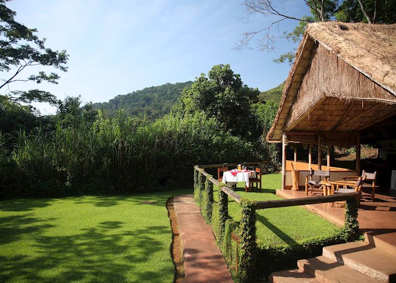 Gorilla Forest Camp, Bwindi Impenetrable Forest National Park Gorilla Forest Camp, Bwindi Impenetrable Forest National Park
