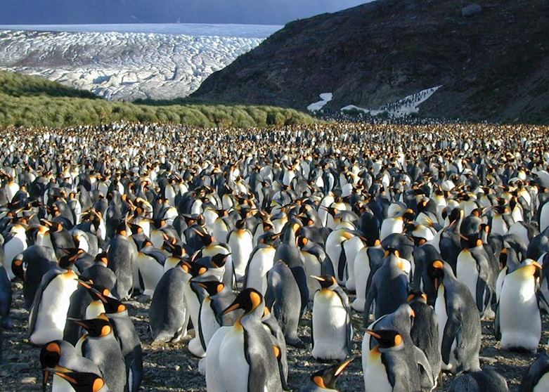 South Georgia South Georgia