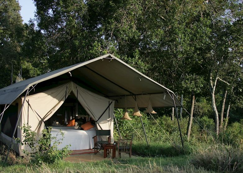 Offbeat Mara Camp, Masai Mara