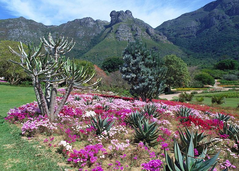 Kirstenbosch Botanical Garden, Cape Town, South Africa Kirstenbosch Botanical Garden, Cape Town, South Africa