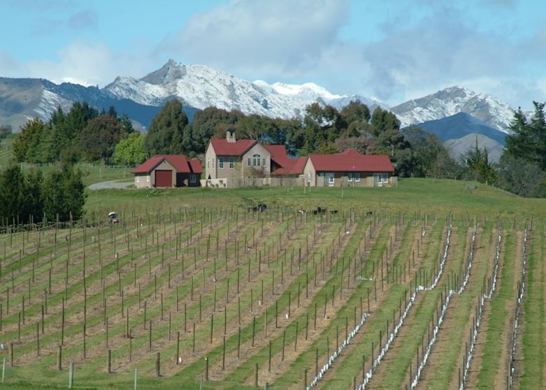 The Bell Tower and its vineyards, Blenheim & The Winelands The Bell Tower and its vineyards, Blenheim & The Winelands