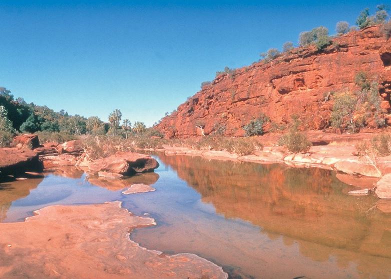 Palm Valley, Alice Springs