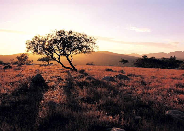 Wilpena Pound Sunset, Flinders Ranges, South Australia