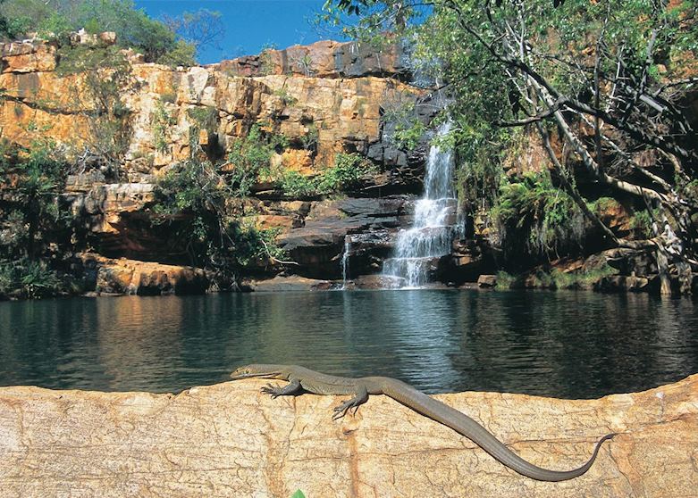 Galvans Gorge, the Kimberley