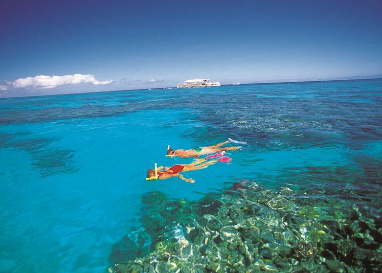 Snorkelling on Hardy Reef Snorkelling on Hardy Reef