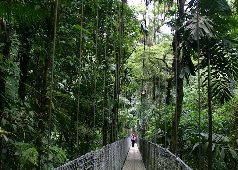 Canopy Walkway, Arenal