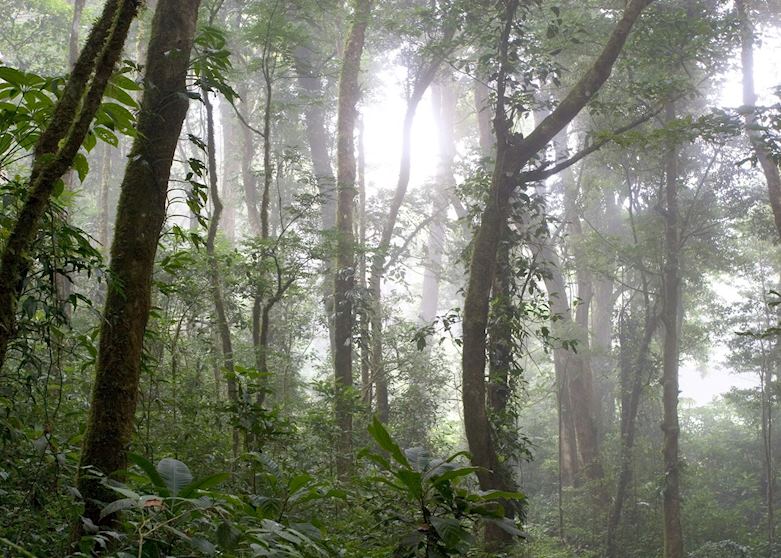 San Gerardo de Dota, Costa Rica