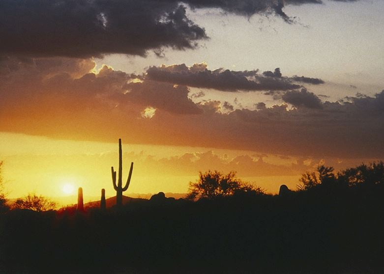 Sunset in the Sonoran Desert near Phoenix Sunset in the Sonoran Desert near Phoenix