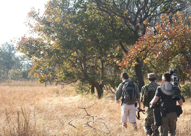Walking safari from Musekese Bush Camp,Kafue National Park Walking safari from Musekese Bush Camp,Kafue National Park
