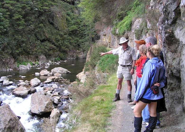 Kiwi Dundee at the Karangahake Gorge, Coromandel Peninsula Kiwi Dundee at the Karangahake Gorge, Coromandel Peninsula