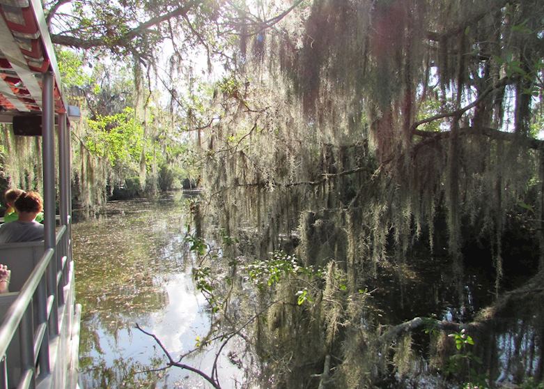 Cajun Pride Swamp tour Cajun Pride Swamp tour