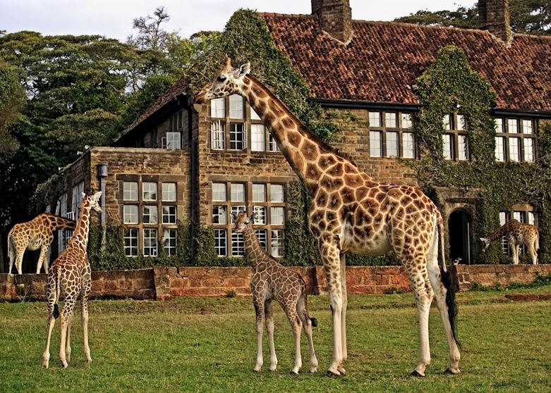 Giraffe Manor, Nairobi Giraffe Manor, Nairobi