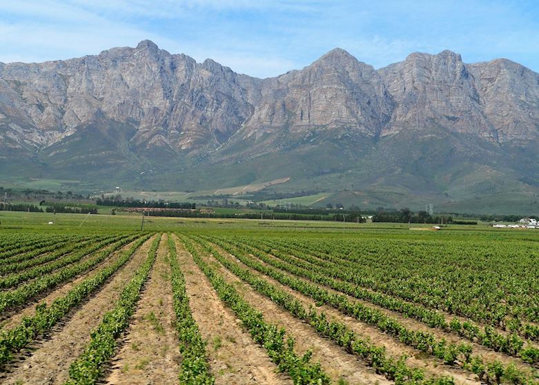 The Winelands, South Africa The Winelands, South Africa
