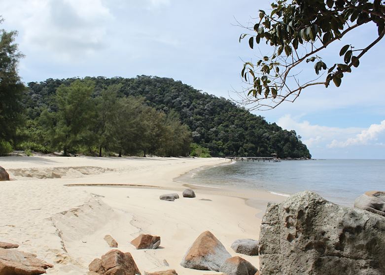 Penang Taman Negara Penang Taman Negara