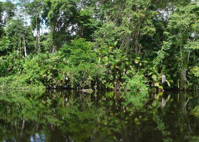 Cuero y Salado boat tour