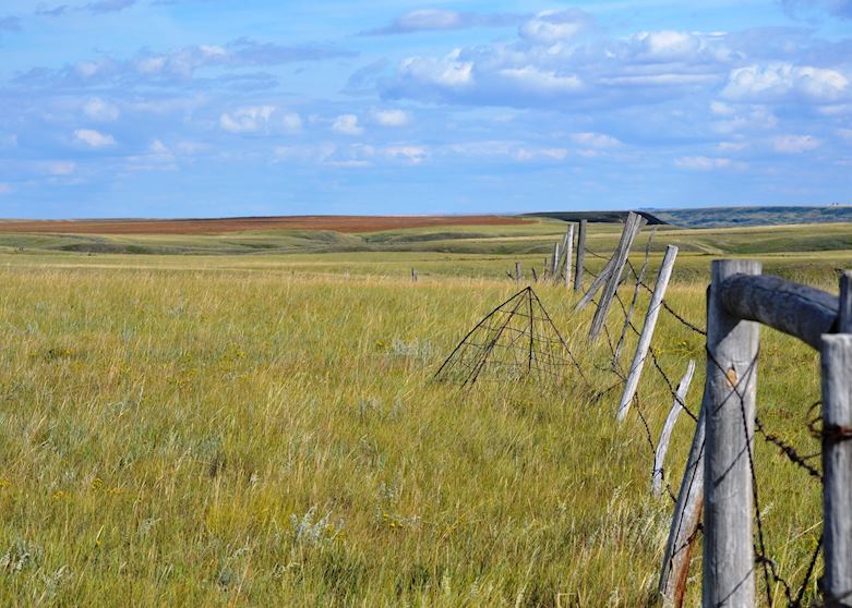 Saskatchewan Landscape near La Reata Ranch, Canada Saskatchewan Landscape near La Reata Ranch, Canada