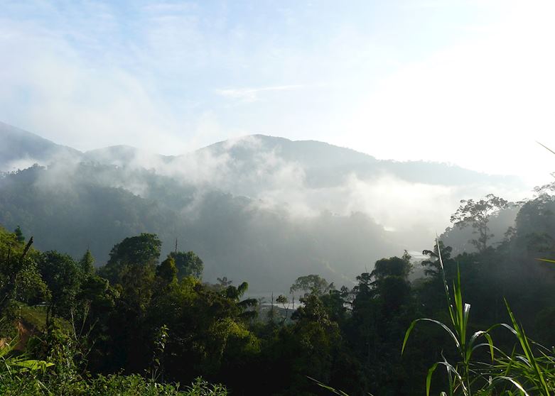 Cameron Highlands, Malaysia Cameron Highlands, Malaysia