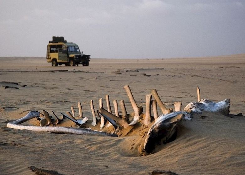Exploring the Skeleton Coast Exploring the Skeleton Coast