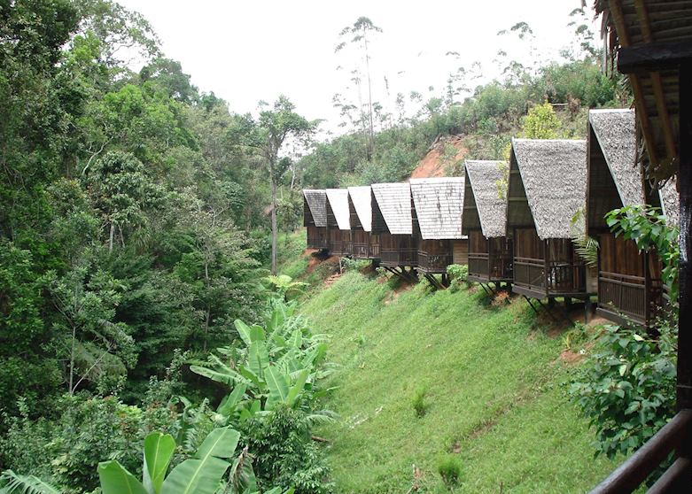 Feon'ny Ala, Andasibe-Mantadia National Park