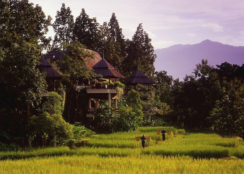 The Four Seasons, Chiang Mai