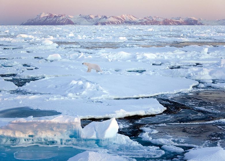 Tailor-Made Vacations in the Polar Regions | Audley Travel