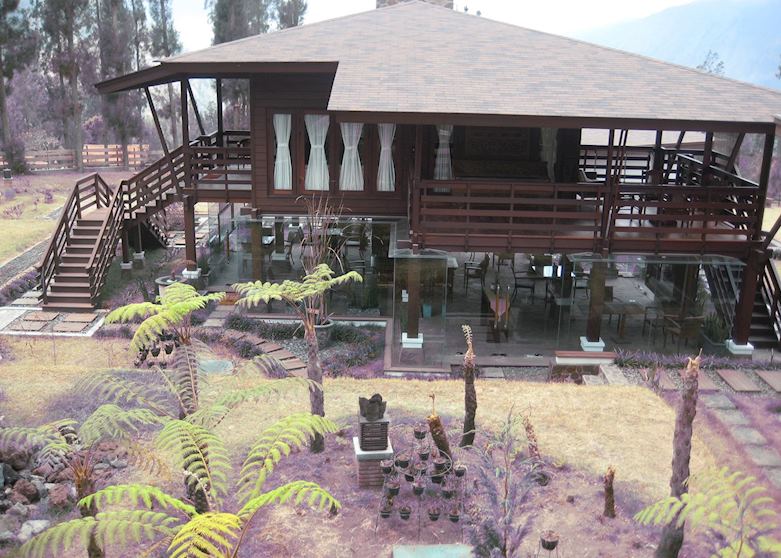 Java Banana, Mount Bromo
