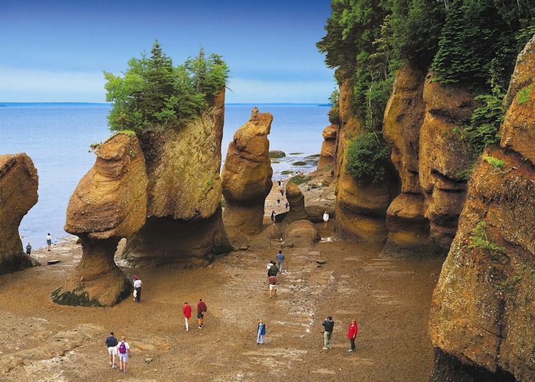Hopewell Rocks Ocean Tidal Exploration Site, New Brunswick