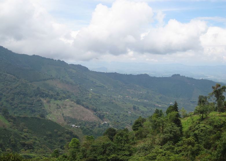 Views over the coffee region