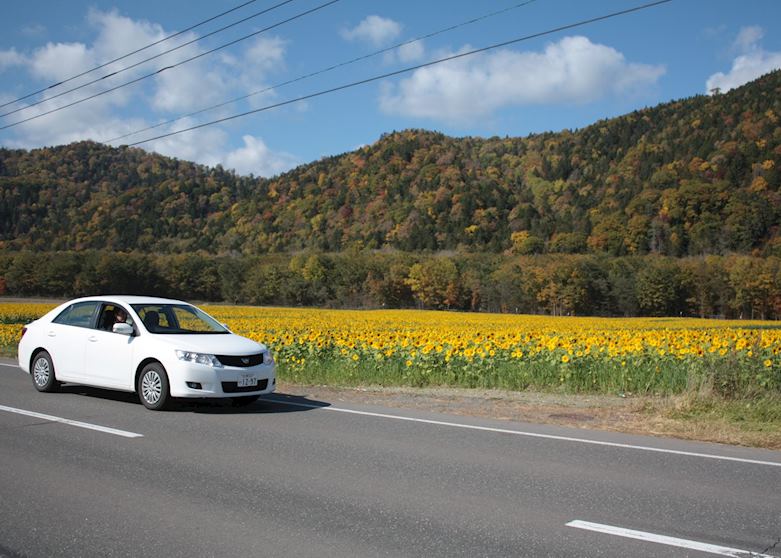 Driving in Hokkaido