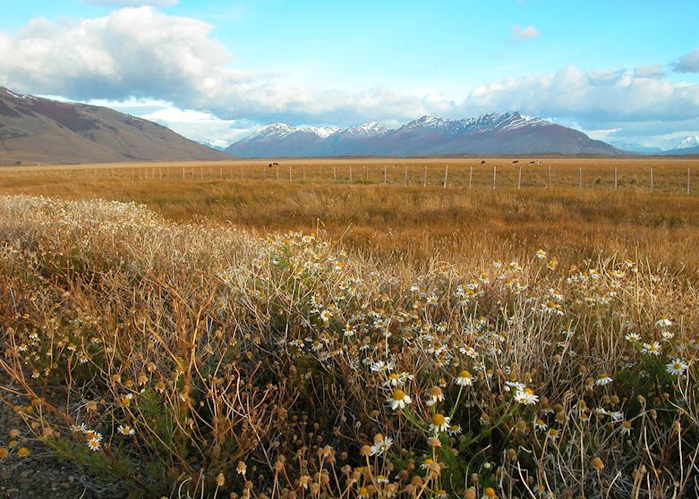El Calafate in Autumn (April), Argentina