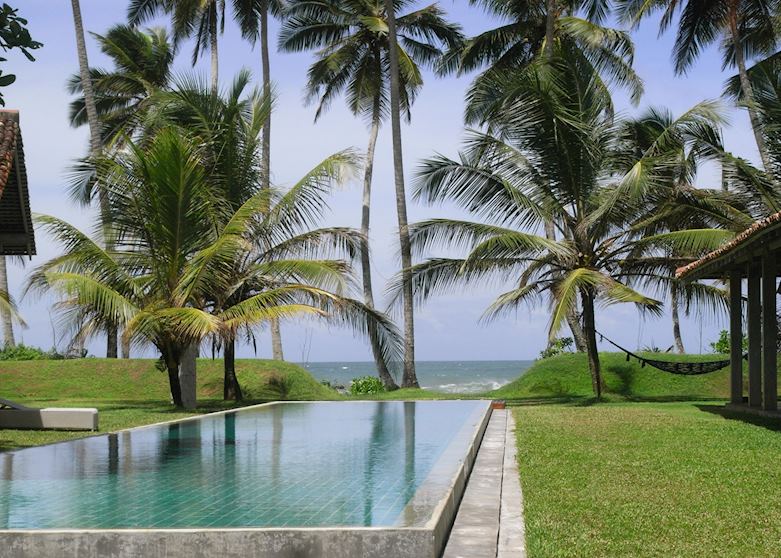 Frangipani Tree, Galle