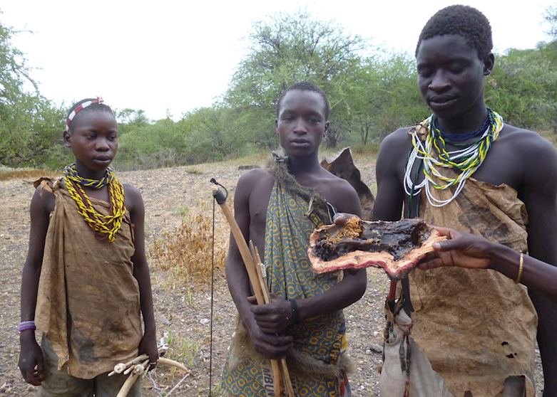 Honey found by the Hadzabe tribesmen on a hunt, Lake Eyasi, Tanzania