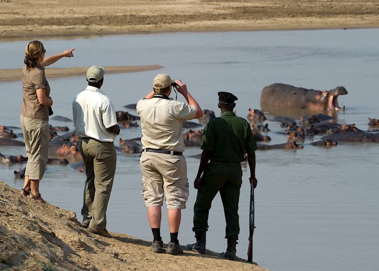 Walking safari in the South Luangwa National Park