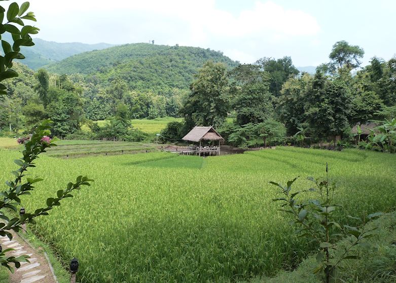 Kamu Lodge