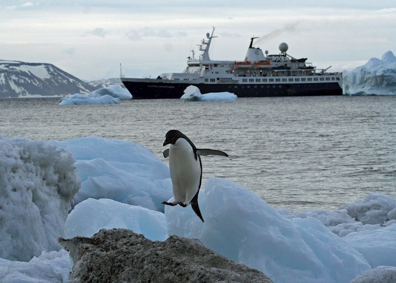 Ocean Adventurer in Antarctica