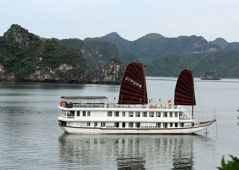 Halong Ginger,Halong City