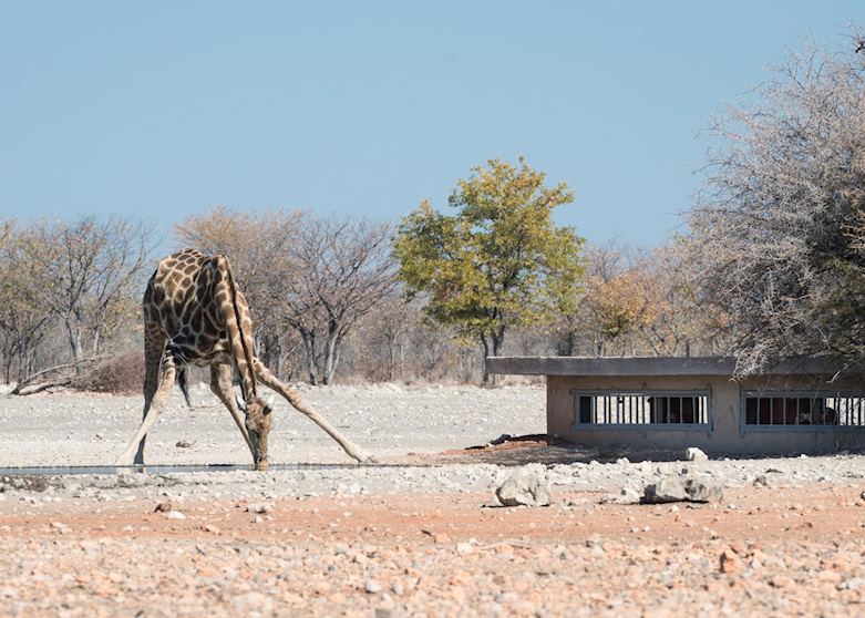 Underground photographic hide at Andersson's at Ongava