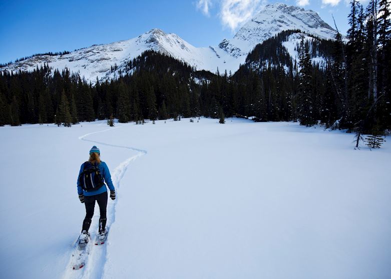 Snowshoeing in Jasper National Park