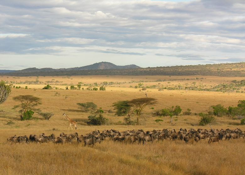 Serengeti National Park Serengeti National Park