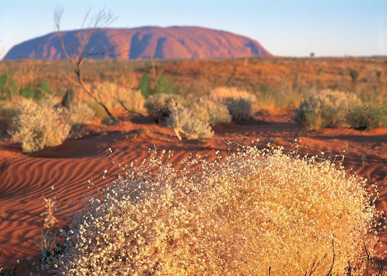 Uluru, Central Australia Uluru, Central Australia