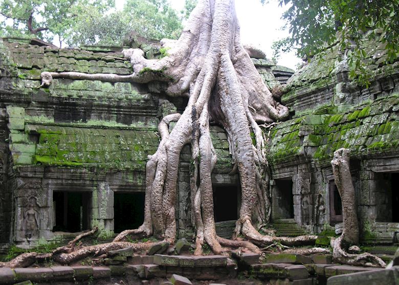 Ta Prohm Ta Prohm