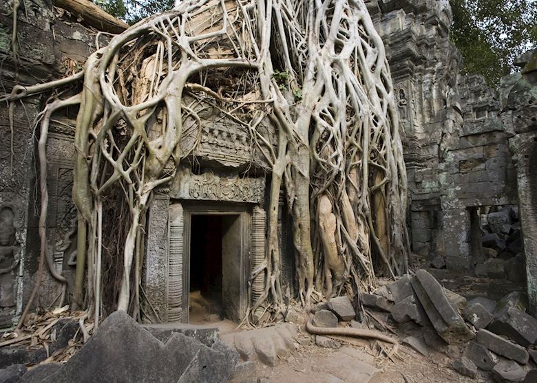 Ta Prohm Temple, Cambodia Ta Prohm Temple, Cambodia