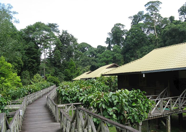 Walkway to chalets, Borneo Rainforest Lodge, Danum Valley Walkway to chalets, Borneo Rainforest Lodge, Danum Valley