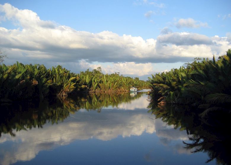 Tanjung Puting, Indonesia Tanjung Puting, Indonesia