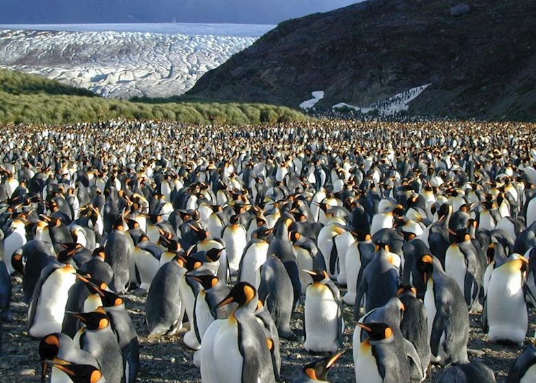 South Georgia South Georgia