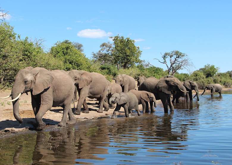 Botswana Holidays and Safaris 2025 & 2026 | Audley Travel UK