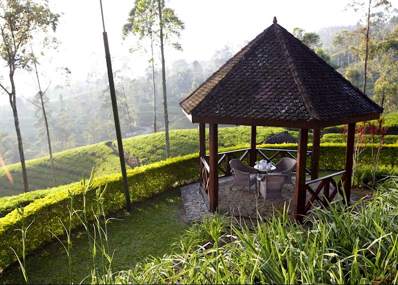 Luxury Sri Lanka holidays: colonial grandeur to palm-fringed shores