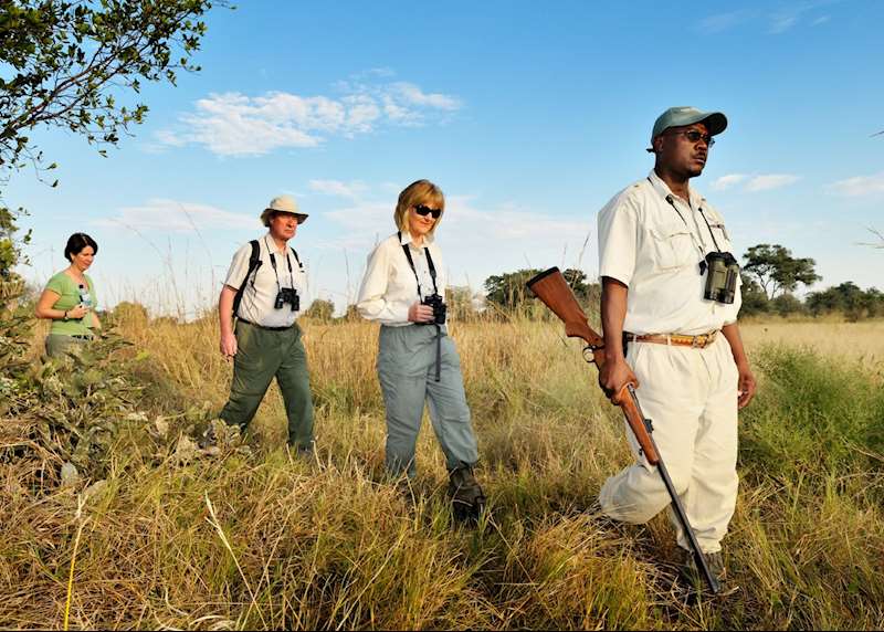 Walking safaris in Botswana