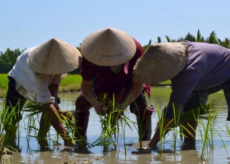 Hidden Vietnam