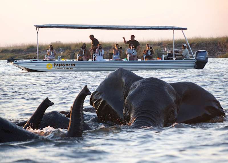 Photographic safaris in Botswana